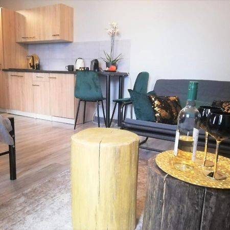 Apartament Czarne Zloto カトヴィツェ エクステリア 写真