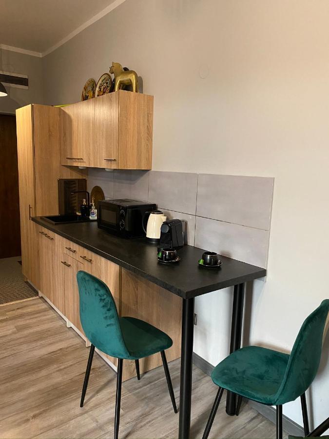 Apartament Czarne Zloto カトヴィツェ エクステリア 写真