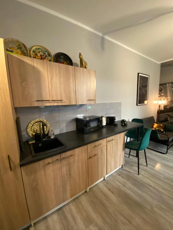 Apartament Czarne Zloto カトヴィツェ エクステリア 写真