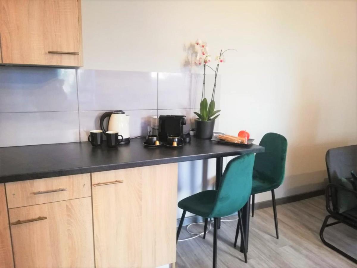 Apartament Czarne Zloto カトヴィツェ エクステリア 写真